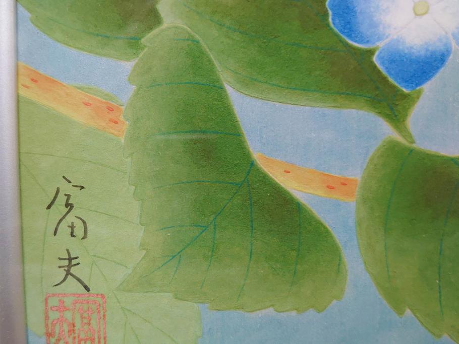 真作　京都　日本画家　井上富夫　「八仙花」(紫陽花、共シール、絵画、額装、箱付き)(R-074568)