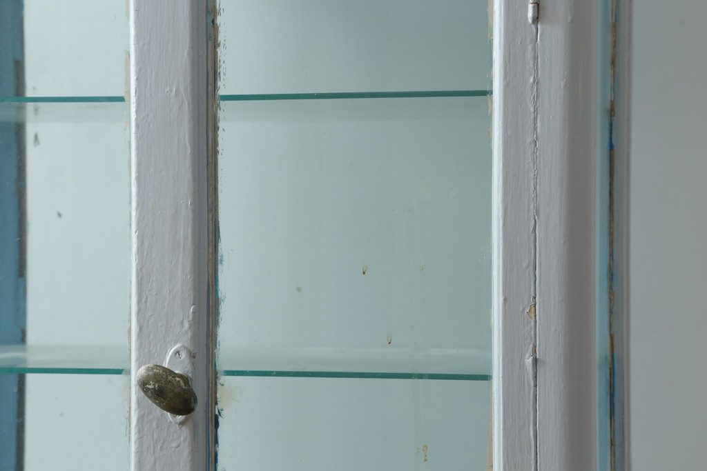 和製アンティーク　レトロな雰囲気溢れる四面ガラスの幅狭ケビントガラスケース(ショーケース、デンタルケース、デンタルキャビネット、陳列棚、飾り棚、収納棚、戸棚、店舗什器)(R-074271)