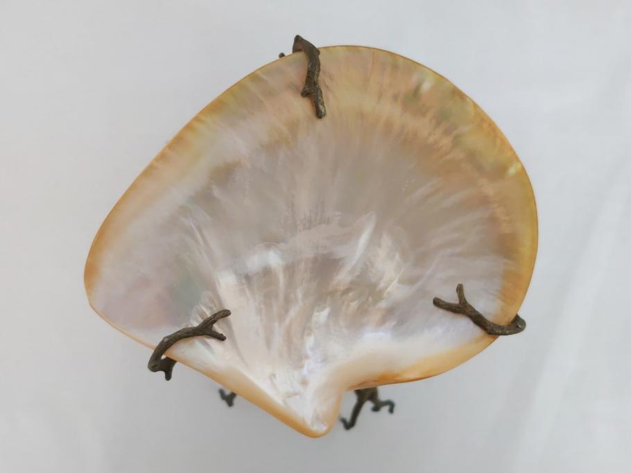 MAITLAND SMITH(メートランドスミス)　真鍮と貝のアクセサリートレイ(珊瑚、サンゴ、小物入れ、ブラス、BRASS、シェル、SHELLFISH、ディスプレイ)(R-062664)