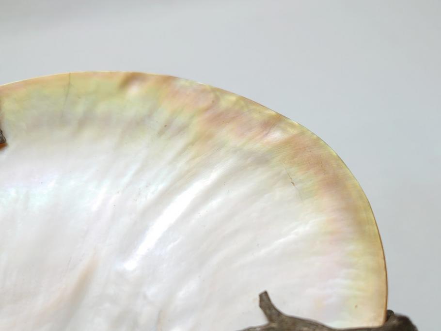 MAITLAND SMITH(メートランドスミス)　真鍮と貝のアクセサリートレイ(珊瑚、サンゴ、小物入れ、ブラス、BRASS、シェル、SHELLFISH、ディスプレイ)(R-062664)