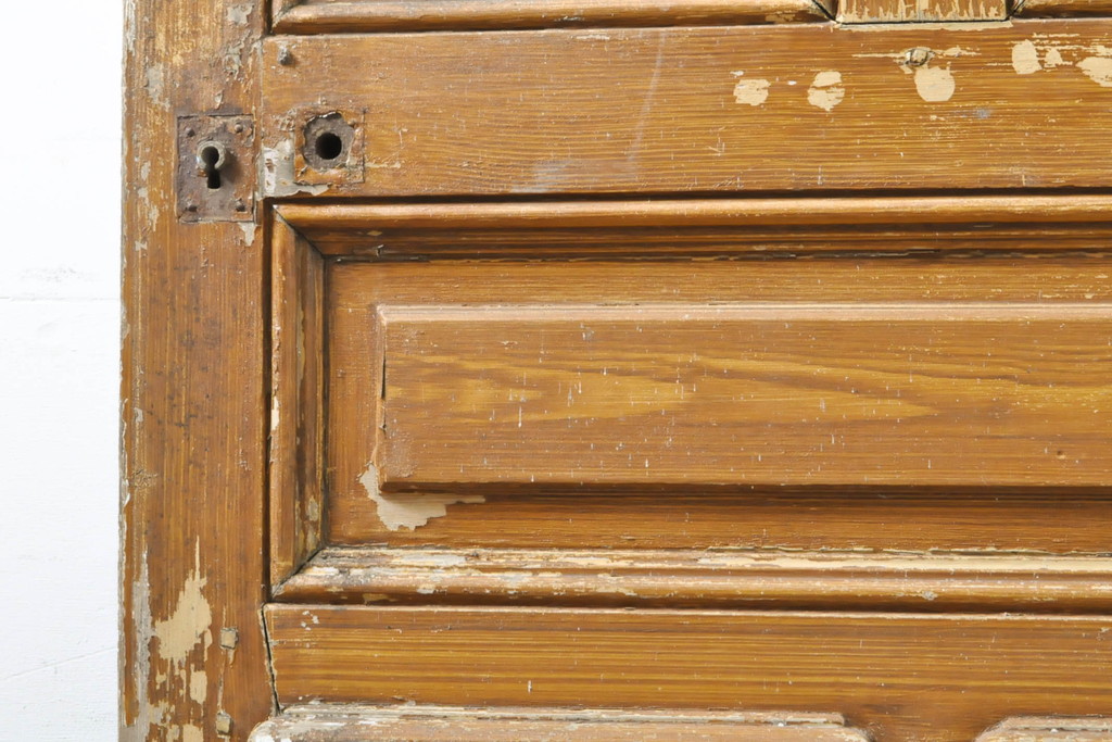 海外アンティーク　ペイント仕上げ限定　可憐なデザインのアイアンフェンス入りドア1枚(建具、木製扉)(R-068128)
