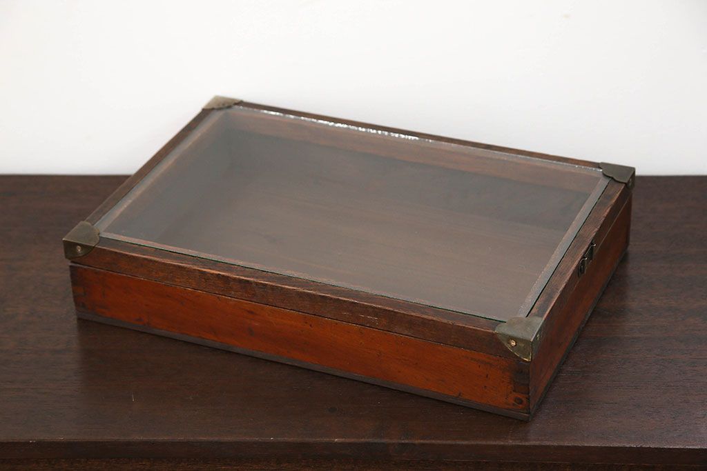 アンティーク雑貨　アンティーク 古い木のコレクションボックス (ガラスケース、飾り棚)