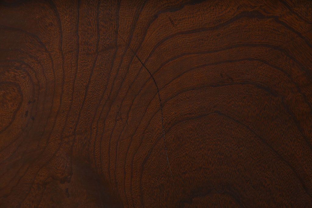 和製アンティーク　腰板ケヤキ材　モダンな雰囲気の裏障子付き帯格子戸(引き戸、建具)2枚組(2)