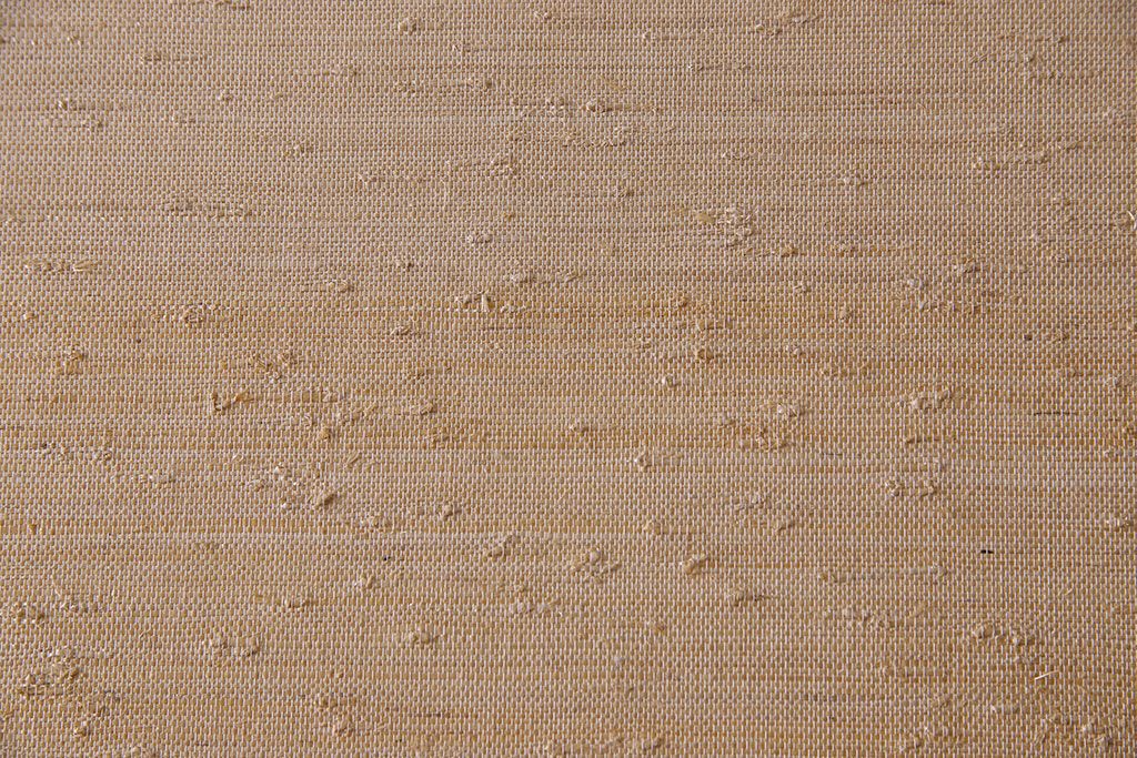 昭和期　美品　杉材の木目が存在感を放つ上質な組子帯戸(ガラス帯戸、引き戸、建具)4枚セット