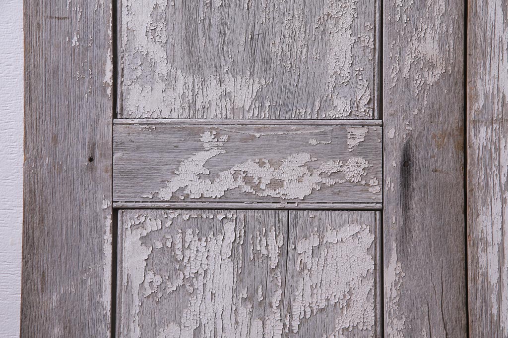 フランスアンティーク　シャビーな美しさが漂うペイントドア一対(木製扉、親子ドア、ディスプレイ)