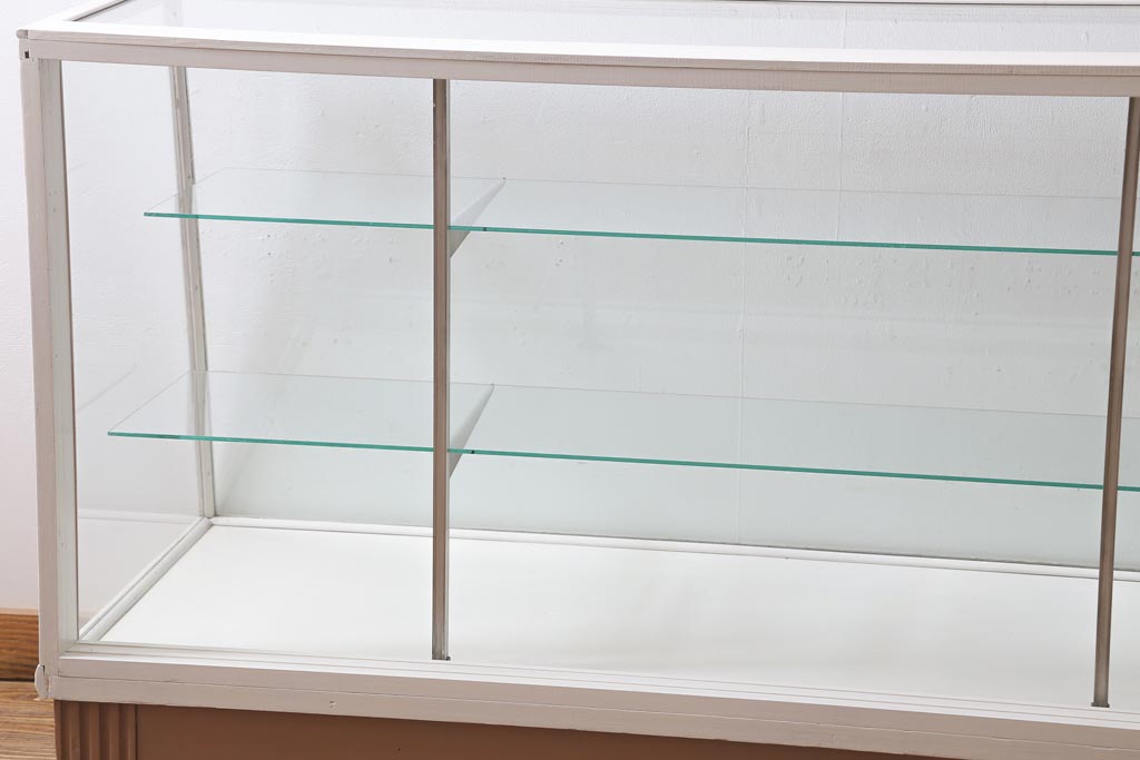 ペイント家具　イギリスヴィンテージ　ナチュラルスタイルにおすすめのガラスケース(ショーケース、陳列棚、ビンテージ)(R-038642)