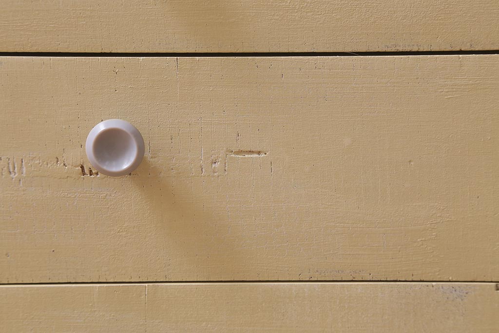 ビンテージ家具　柔らかいペイントカラーのレトロなキャビネット(戸棚、収納棚)(R-042705)