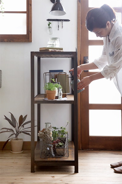 観葉植物の変色対策