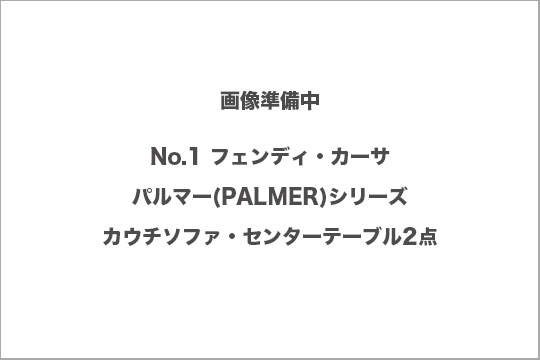 フェンディカーサ　PALMER　買取