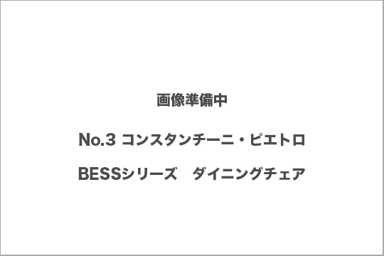 コンスタンチーニピエトロ　bess 買取