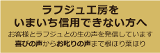 ラフジュ工房をいまいち信用できない方へ