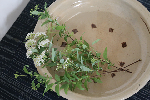 季節の花を飾る