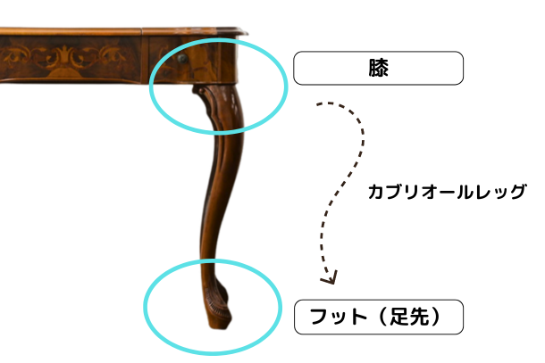 カブリオールレッグの特徴