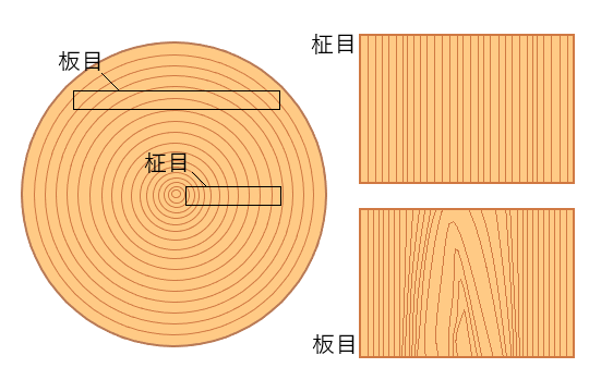 板目と柾目の説明