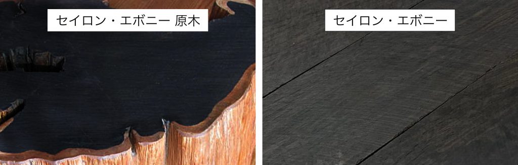 黒檀 (コクタン)とは