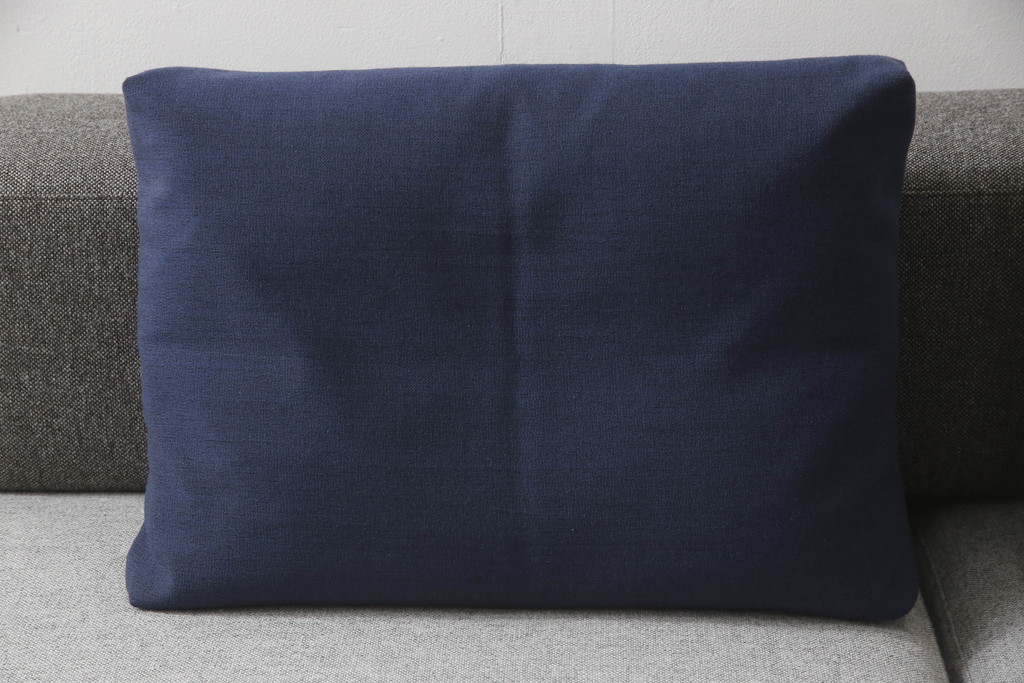 中古　極美品　FRITZ HANSEN(フリッツハンセン)　アルファベットソファシリーズ　クッション2個付き　シンプルモダンなデザインが魅力的な2人掛けソファ(2シーター、2P、二人掛け)(定価約66万円)(R-065711)