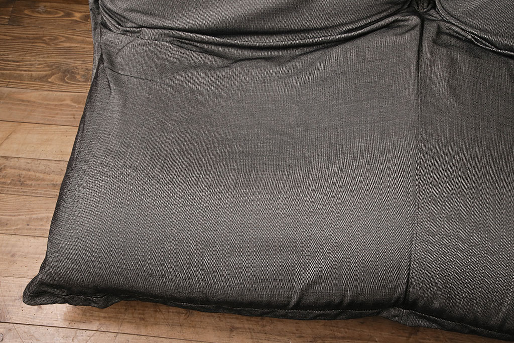 中古　ligne roset(リーン・ロゼ)　ゆったりとした雰囲気づくりにぴったりのCALIN(カラン)ソファ(リーンロゼ、2人掛け)(R-050431)