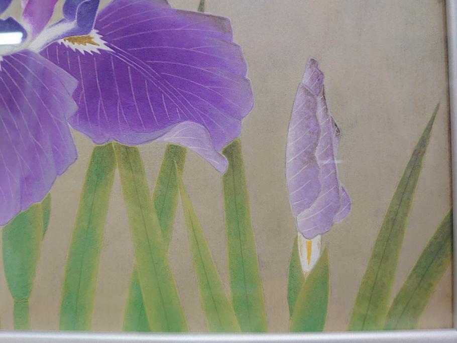 【真作】 京都　日本画家　井上富夫　「花菖蒲」(共シール、絵画、額装、箱付き)(R-074131)