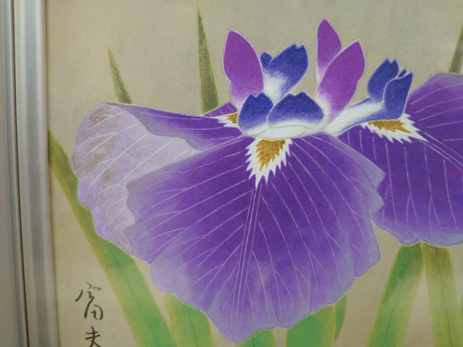 【真作】 京都　日本画家　井上富夫　「花菖蒲」(共シール、絵画、額装、箱付き)(R-074131)