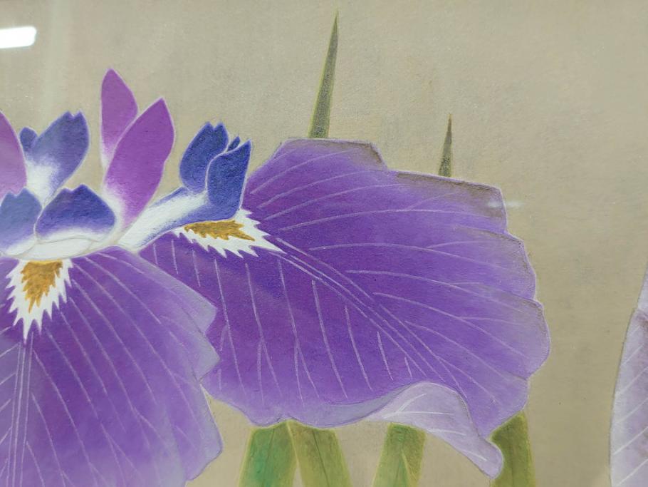 【真作】 京都　日本画家　井上富夫　「花菖蒲」(共シール、絵画、額装、箱付き)(R-074131)