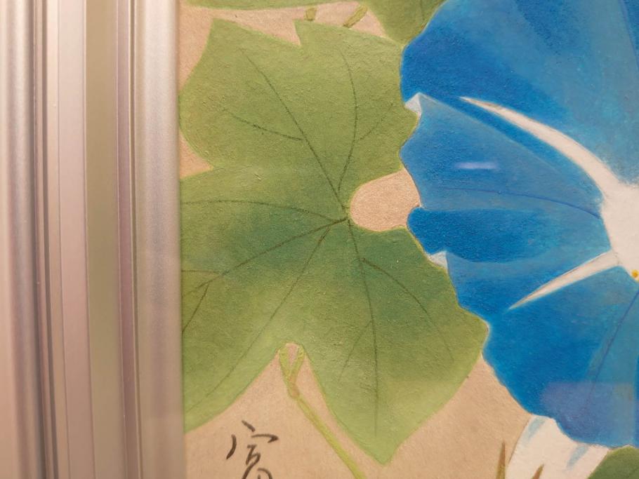 真作　京都　日本画家　井上富夫　「朝顔」(アサガオ、共シール、絵画、額装、箱付き)(R-074566)