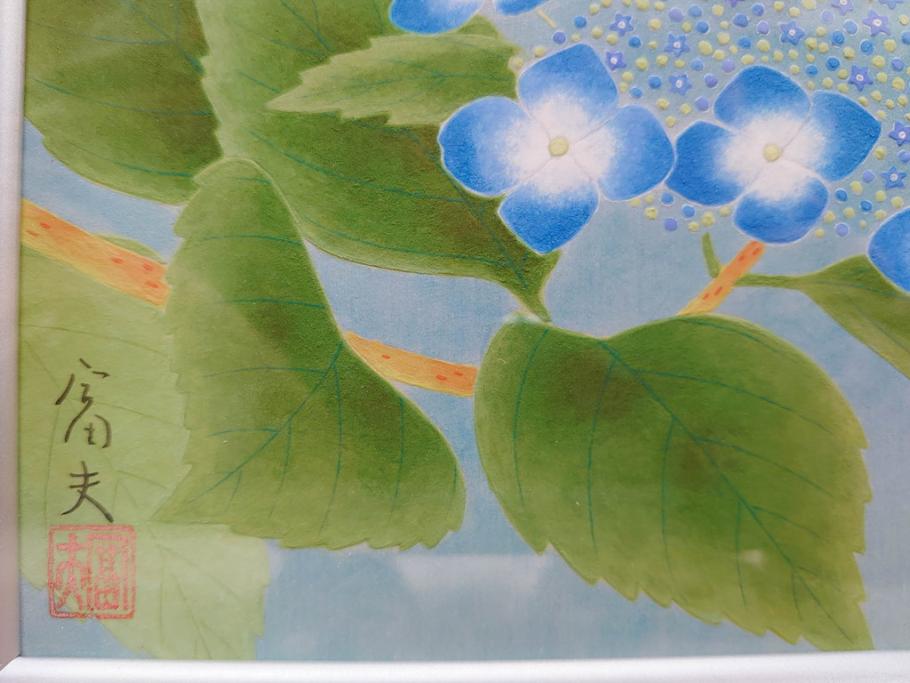 真作　京都　日本画家　井上富夫　「八仙花」(紫陽花、共シール、絵画、額装、箱付き)(R-074568)