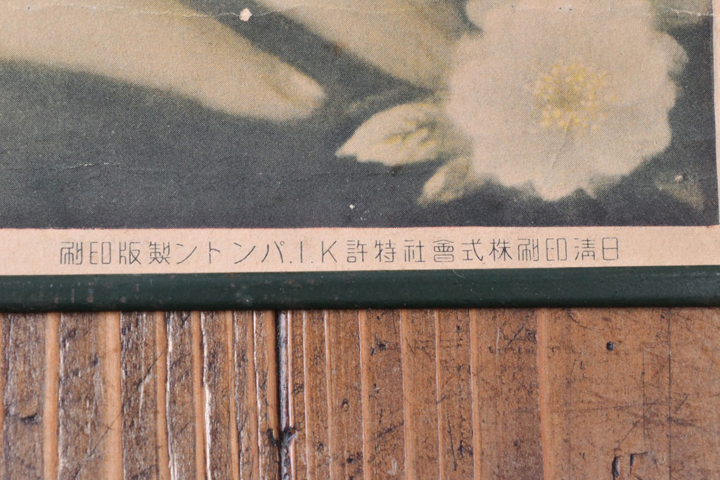 当時物　戦前　サクラビール　ポスター(サクラスタウト、広告、看板)(R-053240)