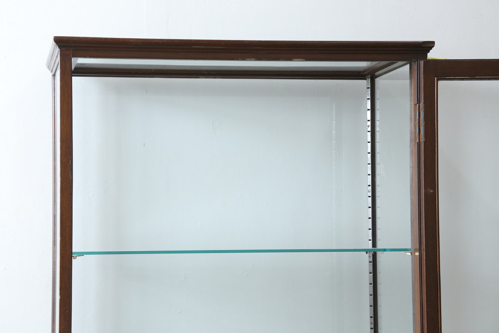イギリスアンティーク　Dudley&Co.Ltd.　HOLLOWAY.LONDON.　N.7.　マホガニー材　落ち着きのある佇まいが上品な縦型ガラスケース(ショーケース、Gケース、陳列棚、飾り棚、コレクションケース、キャビネット、店舗什器、英国)(R-079728)