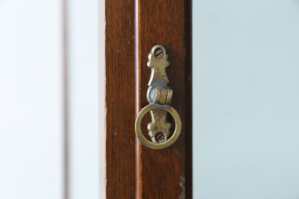 イギリスアンティーク　Dudley&Co.Ltd.　HOLLOWAY.LONDON.　N.7.　マホガニー材　落ち着きのある佇まいが上品な縦型ガラスケース(ショーケース、Gケース、陳列棚、飾り棚、コレクションケース、キャビネット、店舗什器、英国)(R-079728)
