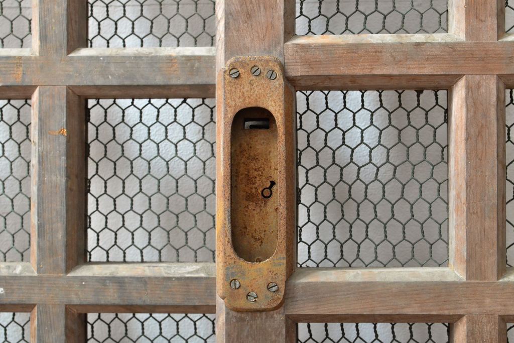 アンティーク建具　明治期　総ヒノキ(檜)材の金網入り格子くぐり戸1枚(きつね格子、狐格子、蔵戸、引き戸、格子戸、マス目、升目、玄関戸、建具)(R-059207)