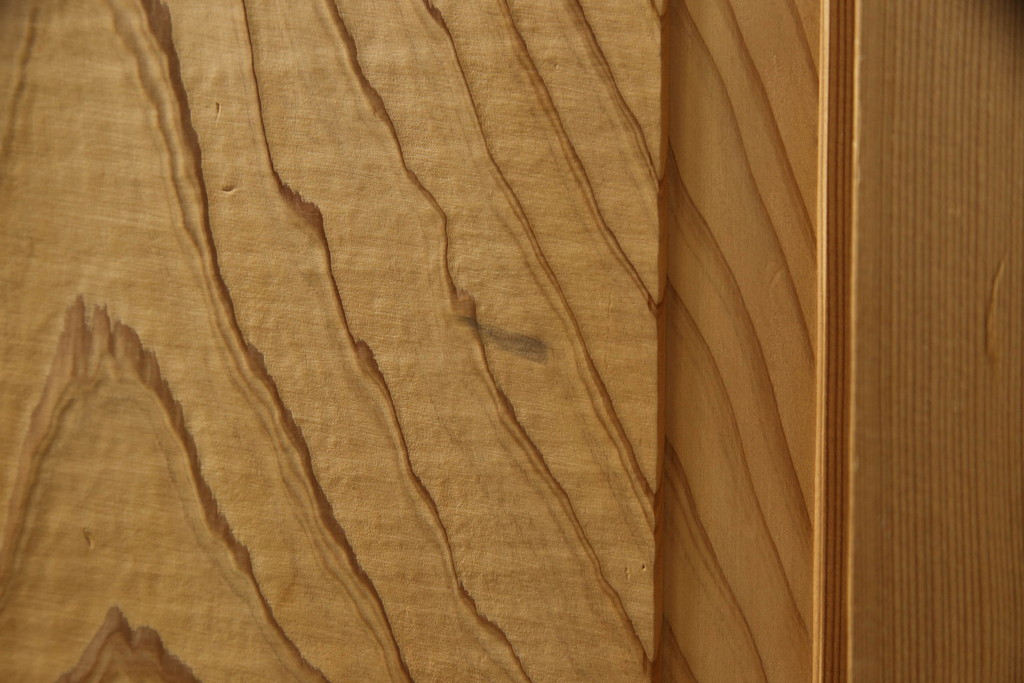 和製ビンテージ　総杉無垢材　鏡板一枚板　杢目が美しい下駄箱(ヴィンテージ、戸棚、収納棚)(R-062959)