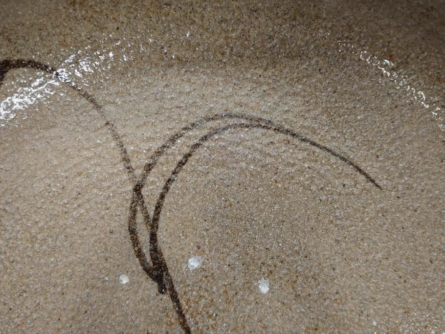 中里重利　絵唐津　約22cm　7.3寸　優美なフォルムが目を引く鉢(唐津焼、鳥、植物、深皿、和皿、中皿、変形皿、和食器、裏印、共箱付き、七寸三分)(R-079817)
