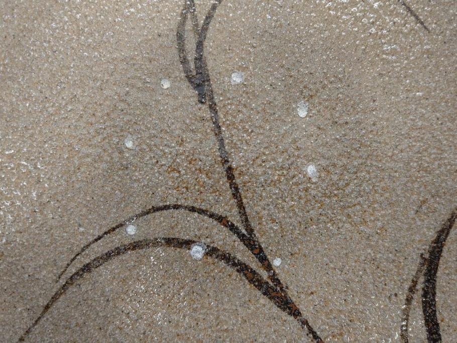 中里重利　絵唐津　約22cm　7.3寸　優美なフォルムが目を引く鉢(唐津焼、鳥、植物、深皿、和皿、中皿、変形皿、和食器、裏印、共箱付き、七寸三分)(R-079817)