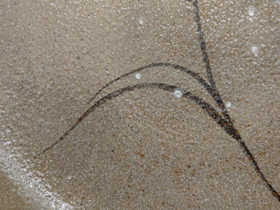 中里重利　絵唐津　約22cm　7.3寸　優美なフォルムが目を引く鉢(唐津焼、鳥、植物、深皿、和皿、中皿、変形皿、和食器、裏印、共箱付き、七寸三分)(R-079817)