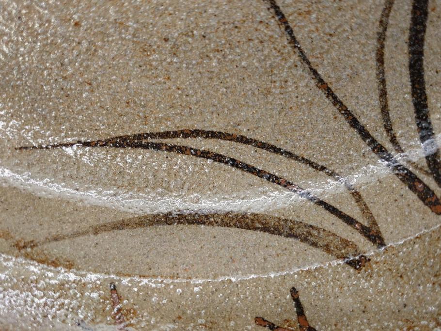 中里重利　絵唐津　約22cm　7.3寸　優美なフォルムが目を引く鉢(唐津焼、鳥、植物、深皿、和皿、中皿、変形皿、和食器、裏印、共箱付き、七寸三分)(R-079817)