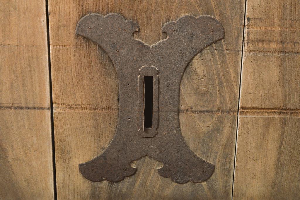 和製アンティーク　鉄製の縦格子がアクセント!和モダンな鉄格子蔵戸1枚(引き戸、玄関扉、和風玄関ドア、建具)(R-056074)