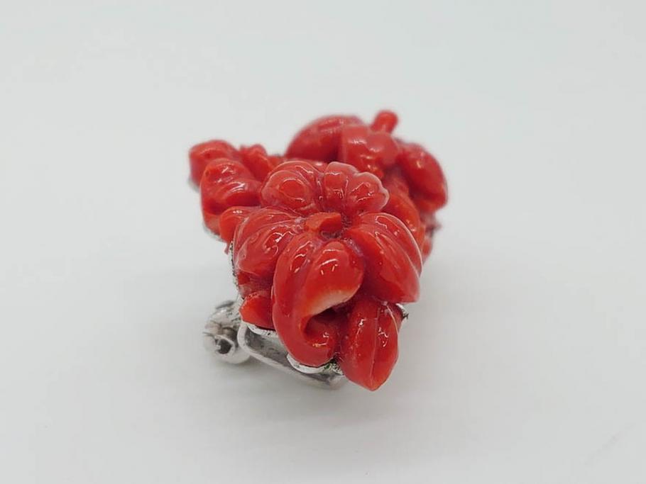 時代物　赤珊瑚　彫刻　色鮮やかな帯留(花、サンゴ、帯留め、着物道具、和装小物、アクセサリー、ブローチ)(R-080552)