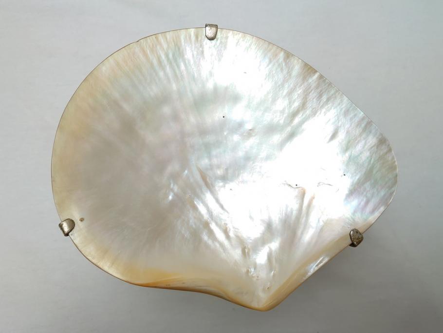 MAITLAND SMITH(メートランドスミス)　真鍮と貝のアクセサリートレイ(小物入れ、ブラス、BRASS、シェル、SHELLFISH、ディスプレイ)(R-062665)