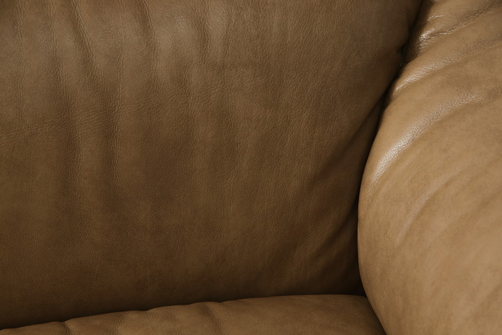 中古　美品　イタリア　ナツッジ(NATUZZI RDITION)　レザーエディションズ　ローバックで広々とした空間を楽しめる2.5人掛けソファ(2人掛け、3人掛け、本革ソファ)(定価約60万円)(R-059633)