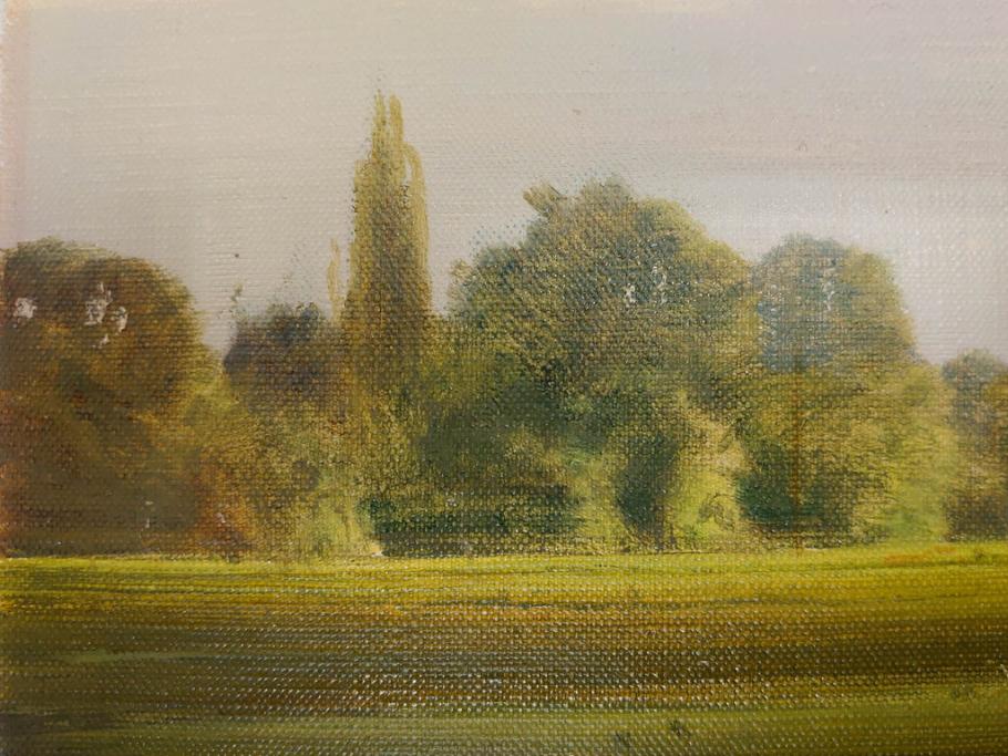 真作　林朝路　「ベルノン朝明け」　M15(15号)　絵画(油絵、油彩、風景、川辺、サイン入り、額装、外箱付き)(R-081400)