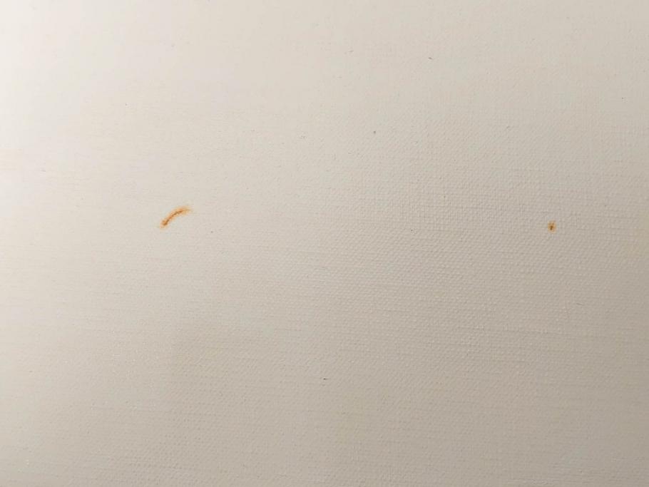 真作　林朝路　「ベルノン朝明け」　M15(15号)　絵画(油絵、油彩、風景、川辺、サイン入り、額装、外箱付き)(R-081400)