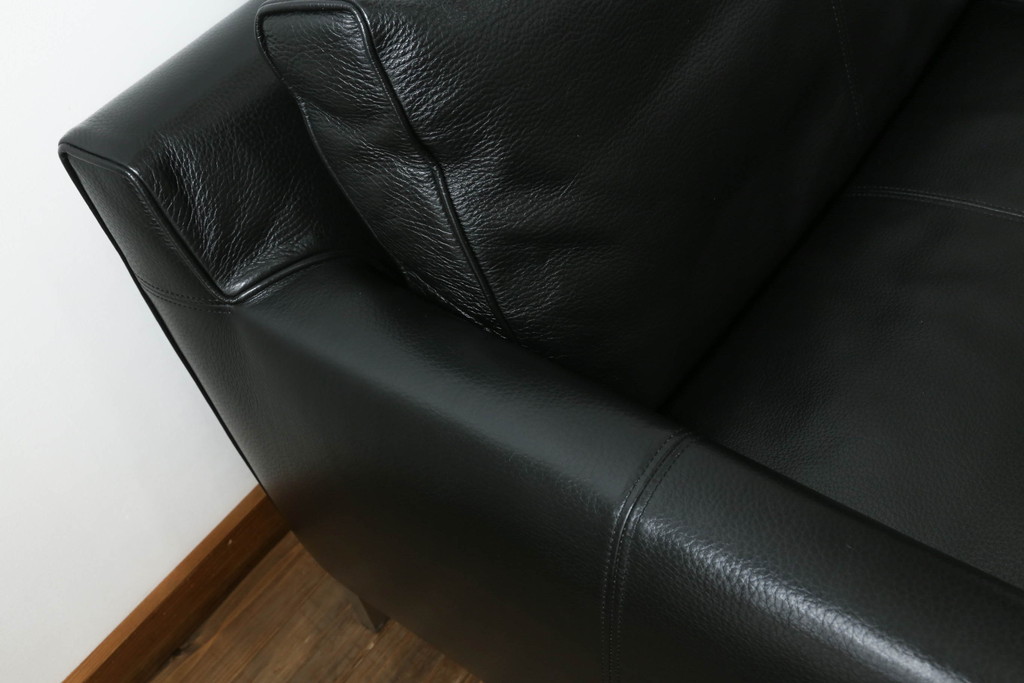 中古　美品　本革(レザー)　アイラーセン(eilersen)　ストリームラインソファ(STREAMLINE SOFA)　クールモダンなデザインがカッコいい2人掛けソファ(二人掛けソファ、2P、北欧)(R-072800)