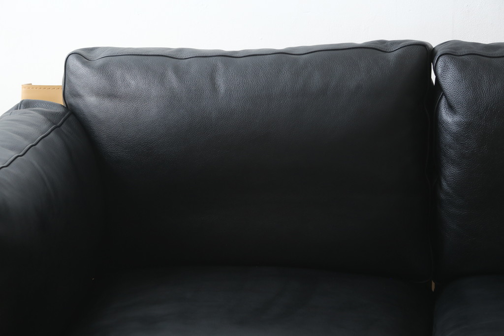 中古　超美品　Cassina(カッシーナ)　ELORO(エローロ)　FY革　本革　洗練されたモダンデザインが格好いい!!メンズライクな空間を演出する2人掛けソファ(2P、二人掛け、クッションソファ、レザーソファ、アームソファ)(定価約170万円)(R-062160)