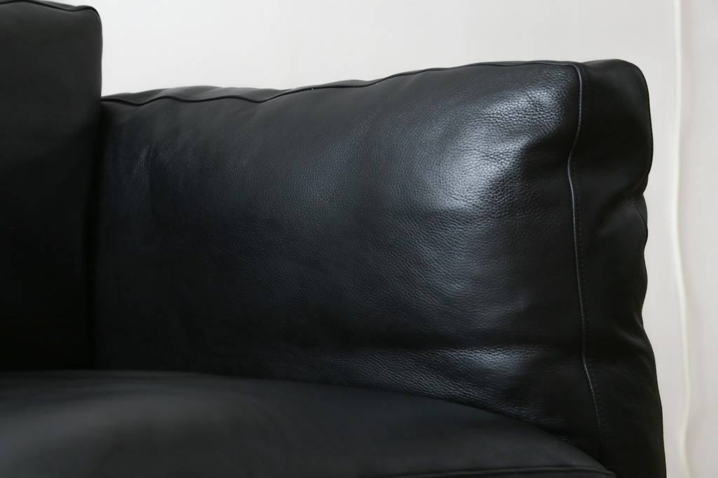 中古　超美品　Cassina(カッシーナ)　ELORO(エローロ)　FY革　本革　洗練されたモダンデザインが格好いい!!メンズライクな空間を演出する2人掛けソファ(2P、二人掛け、クッションソファ、レザーソファ、アームソファ)(定価約170万円)(R-062160)