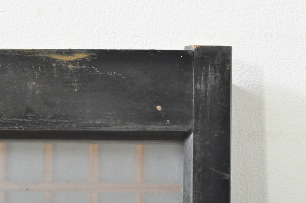 アンティーク建具　片面ガラス　上質な和の空間を演出する書院戸2枚セット(引き戸、窓)(R-076344)