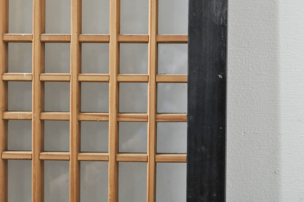 アンティーク建具　片面ガラス　上質な和の空間を演出する書院戸2枚セット(引き戸、窓)(R-076344)