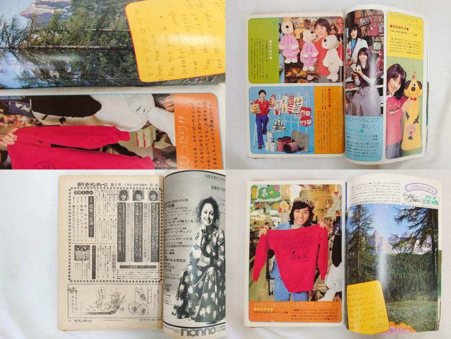 昭和49年　1974年　週刊セブンティーン　週刊誌9冊セット(野口五郎、フォーリーブス、森田健作、郷ひろみ、西城秀樹、まんが、漫画、マンガ、女性誌、情報誌、総合雑誌、古本)(R-082266)