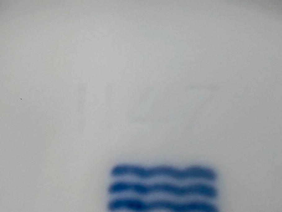 稀少　デンマーク　ROYAL COPENHAGEN(ロイヤルコペンハーゲン)　White Fluted Full Lace　ホワイトフルーテッド フルレース　美しいデザインが優雅さを演出するプレート4枚セット(皿、洋食器)(R-075791)