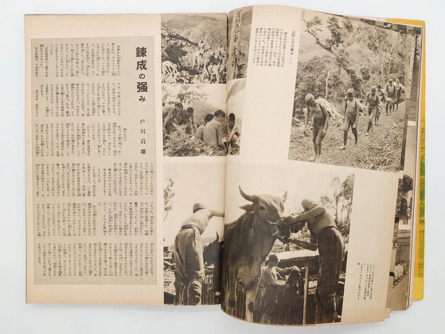 戦前　昭和19年　朝日新聞社発行　南方の據點　台湾　写真報道(中国、拠点、写真集、資料、古本、古書、1944年)(R-075881)