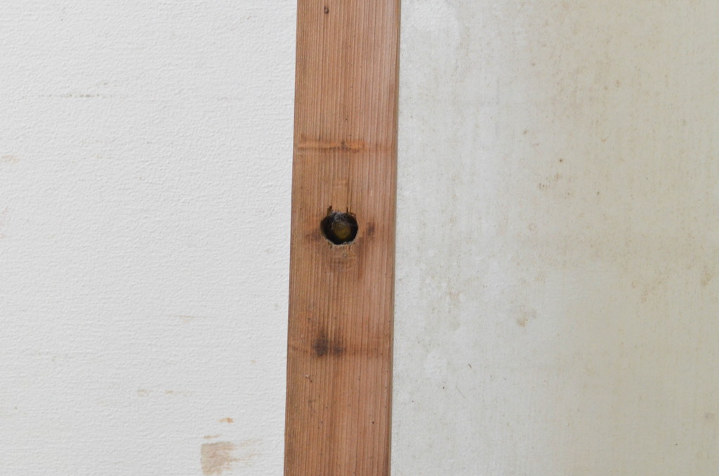 アンティーク建具　どこか懐かしい雰囲気漂う幅狭ガラス戸1枚(引き戸)(R-070936)